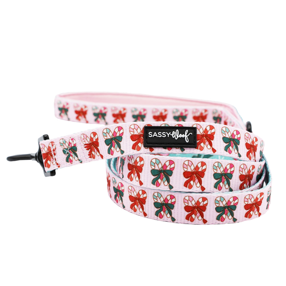 Sassy Woof Rope Leash - on sale Celebrations