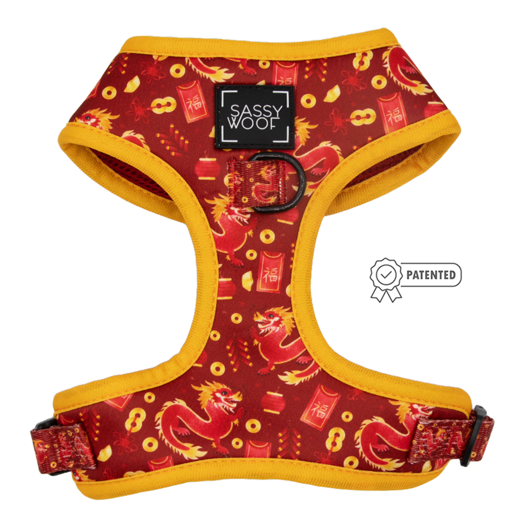 Our New Scooby-Doo!™ Collection Is Here. - Me Undies
