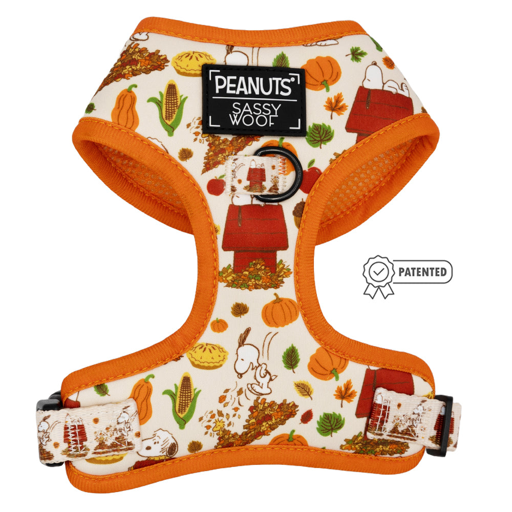 Pet attire harness best sale