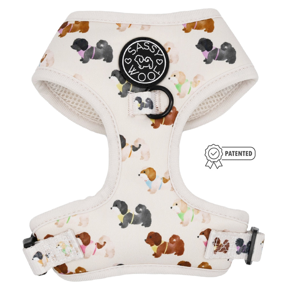 Best dog harness for shih tzu hotsell