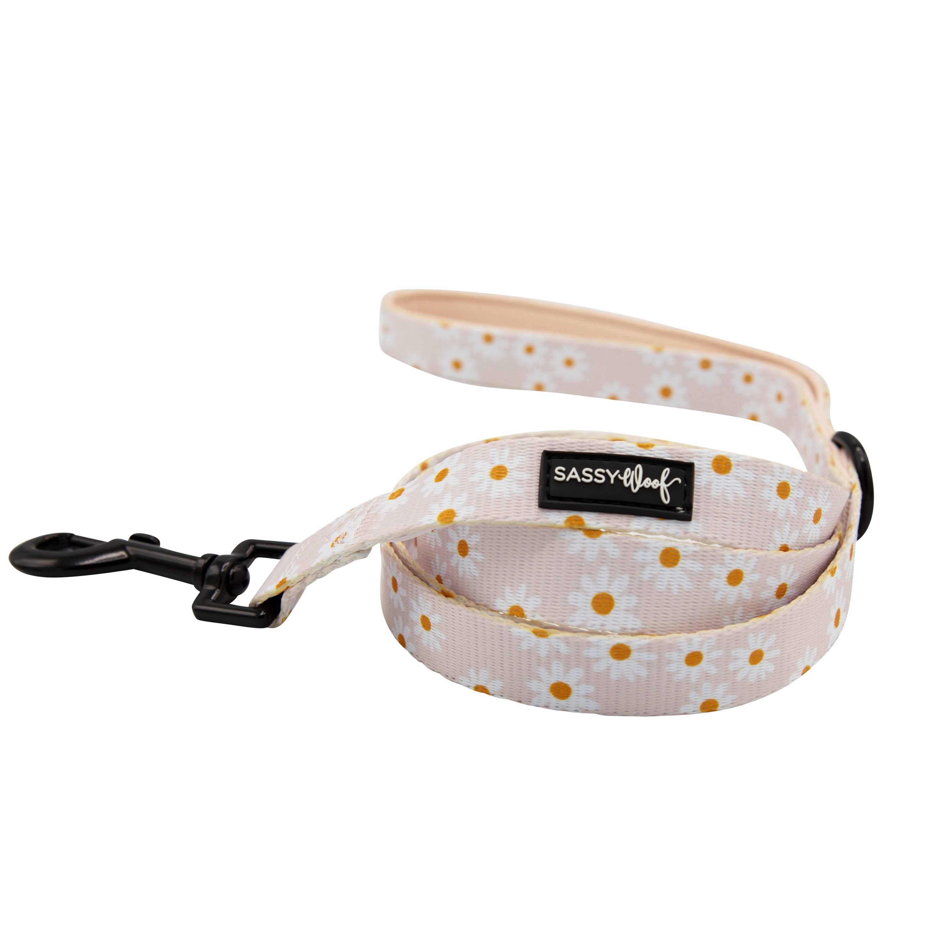 Daisy dog collar and leash best sale