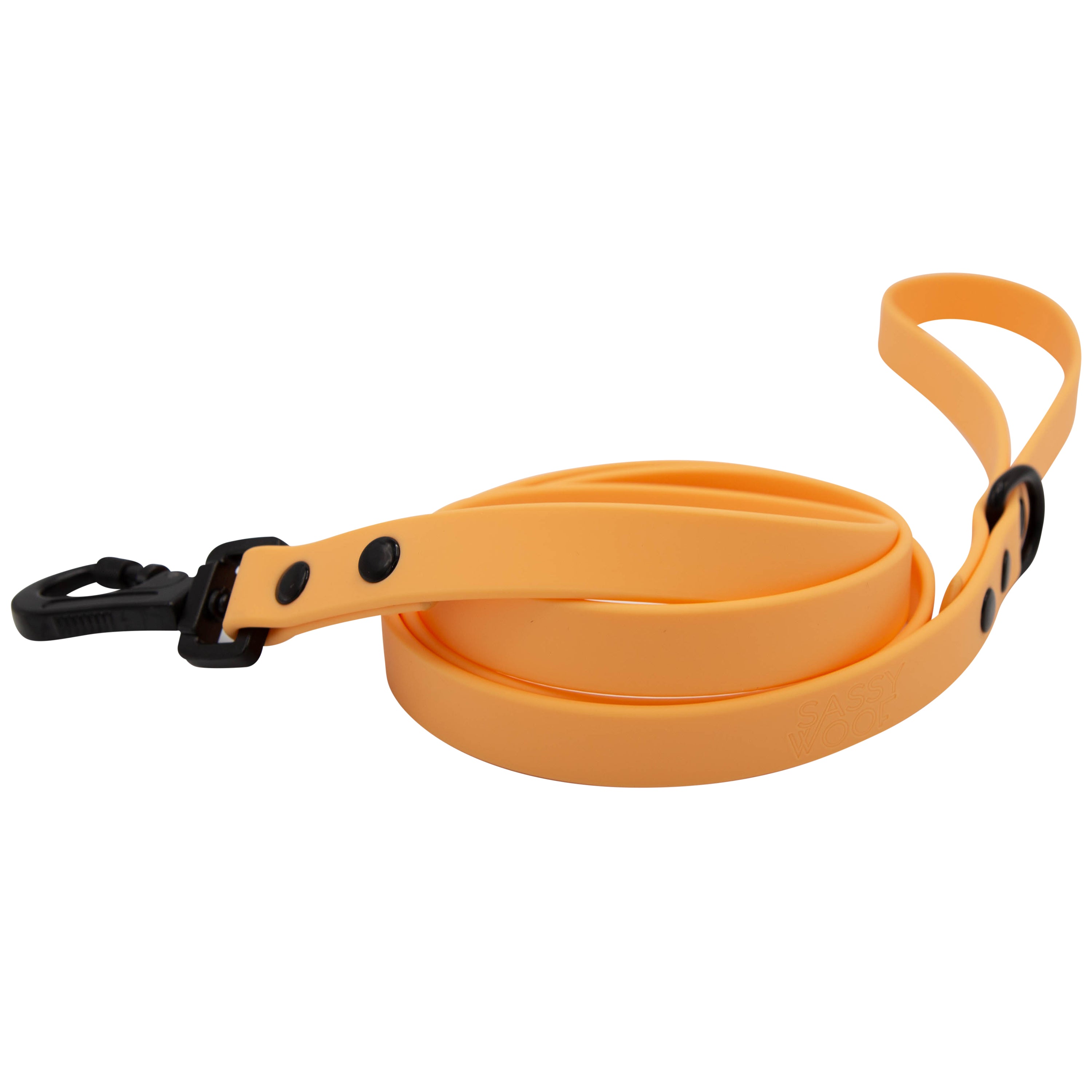 Biothane Waterproof Leash