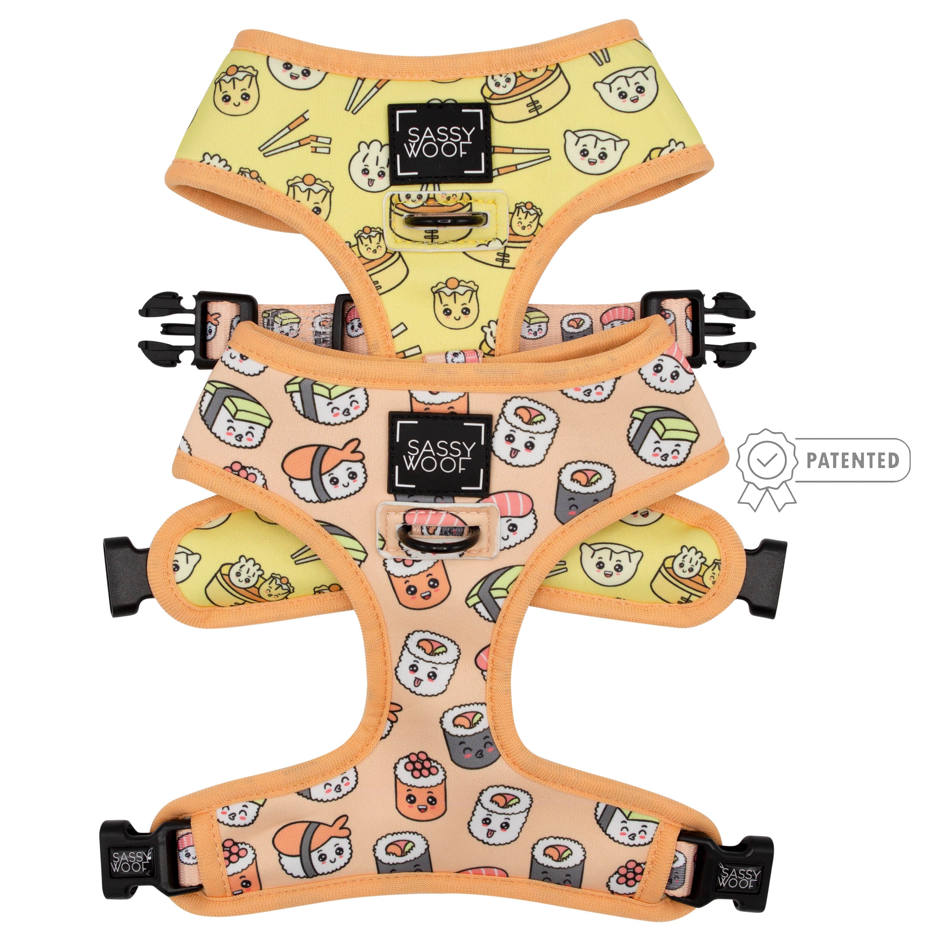 Chewy Vee Check Harness & Lead set – bearsupreme