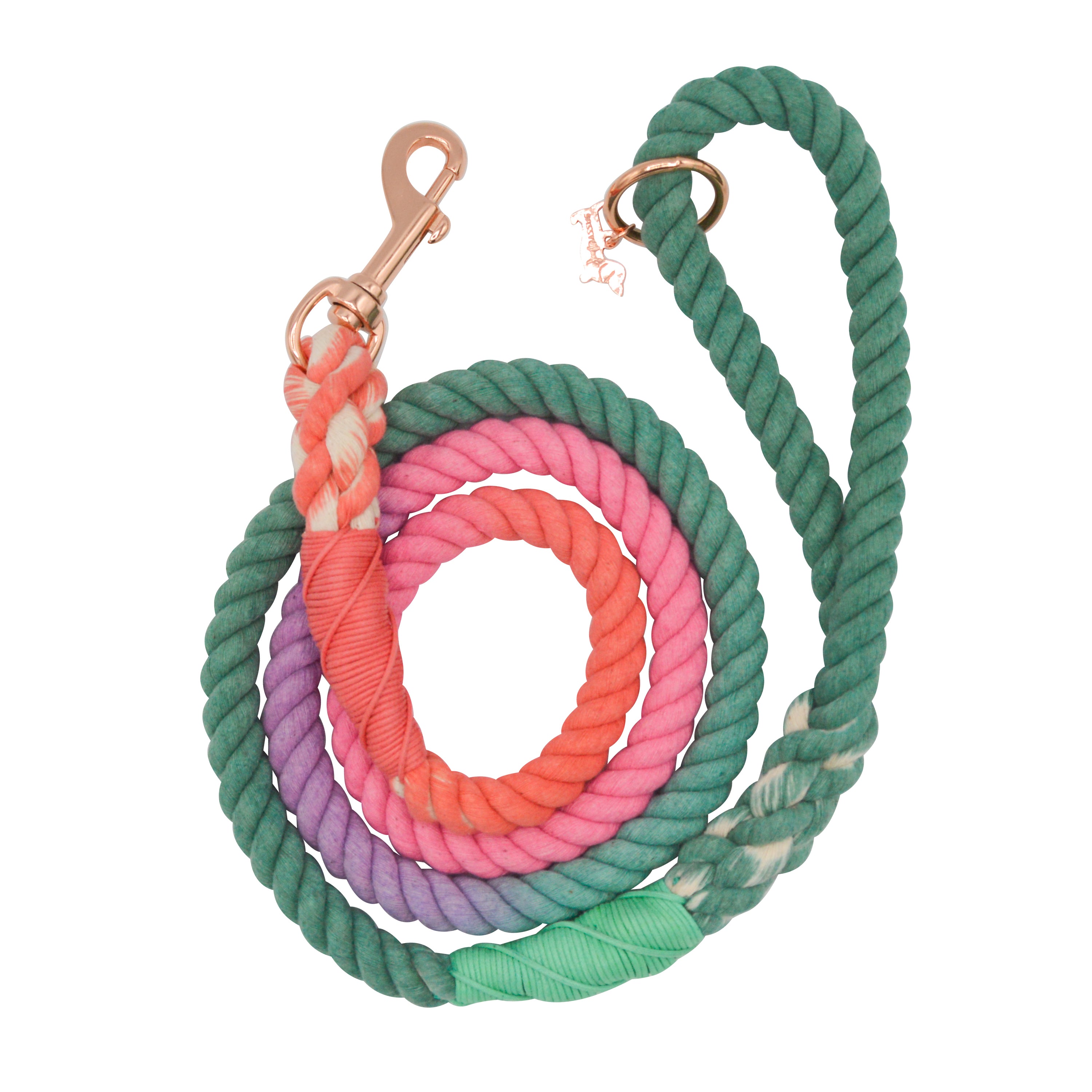 Ombre rope hot sale dog lead