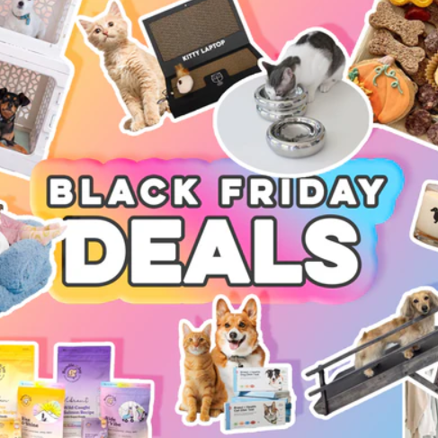 Black Friday Deals From Your Favorite Small Businesses