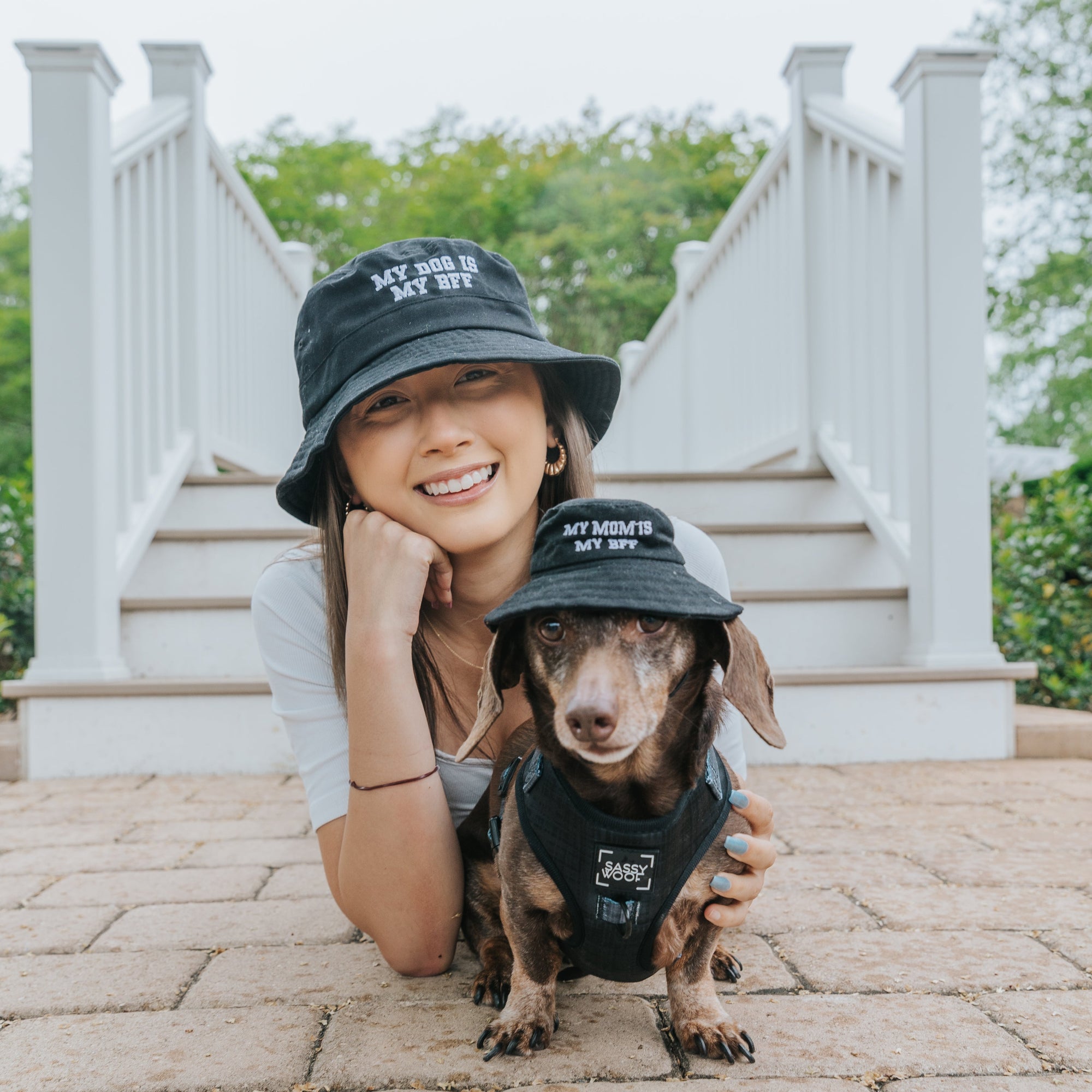 The Dogs Are Here to Stay: 2024 Trends