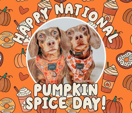 Pumpkin Spice Day Sale