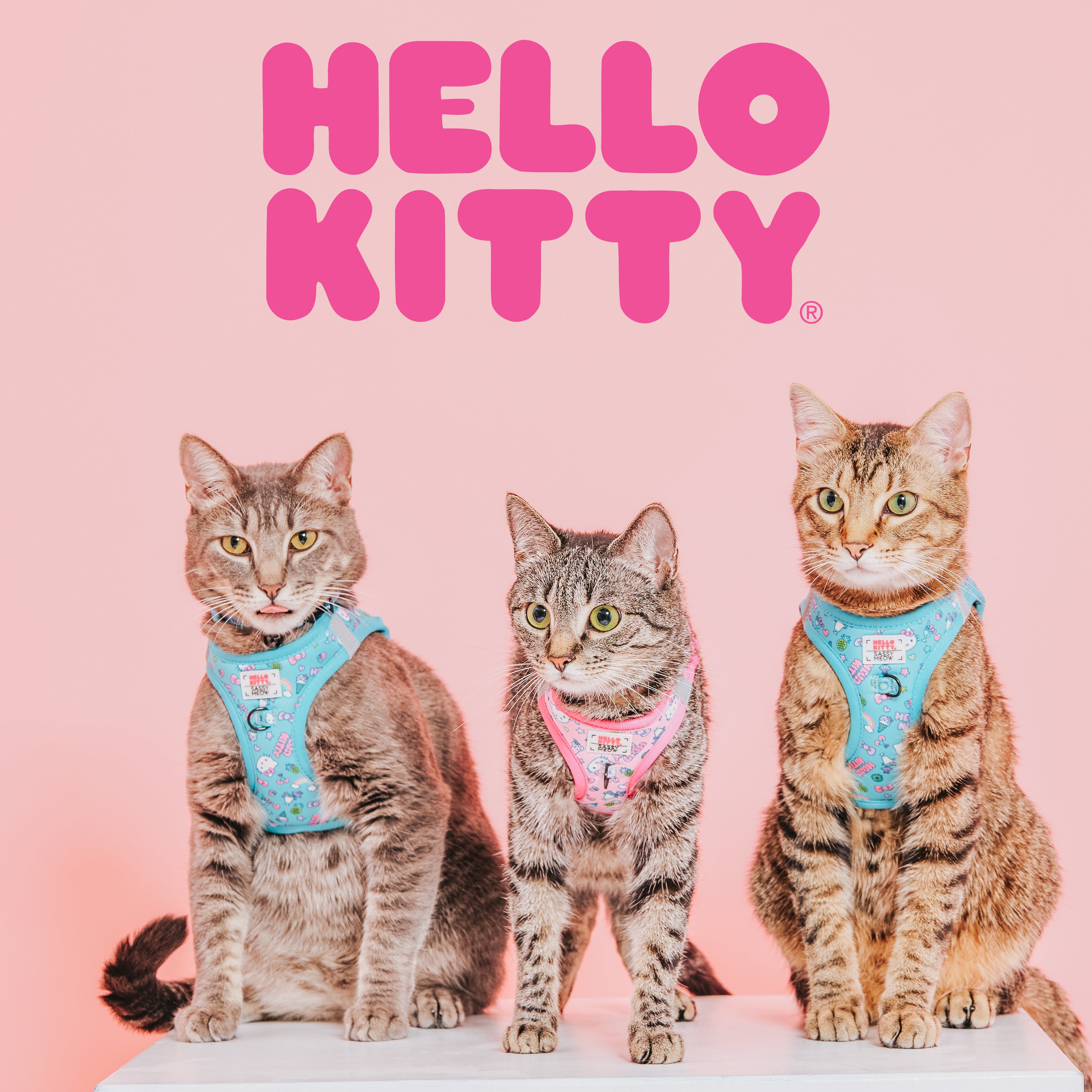 Hello Kitty® Sassy Meow | Sassy Woof Collection