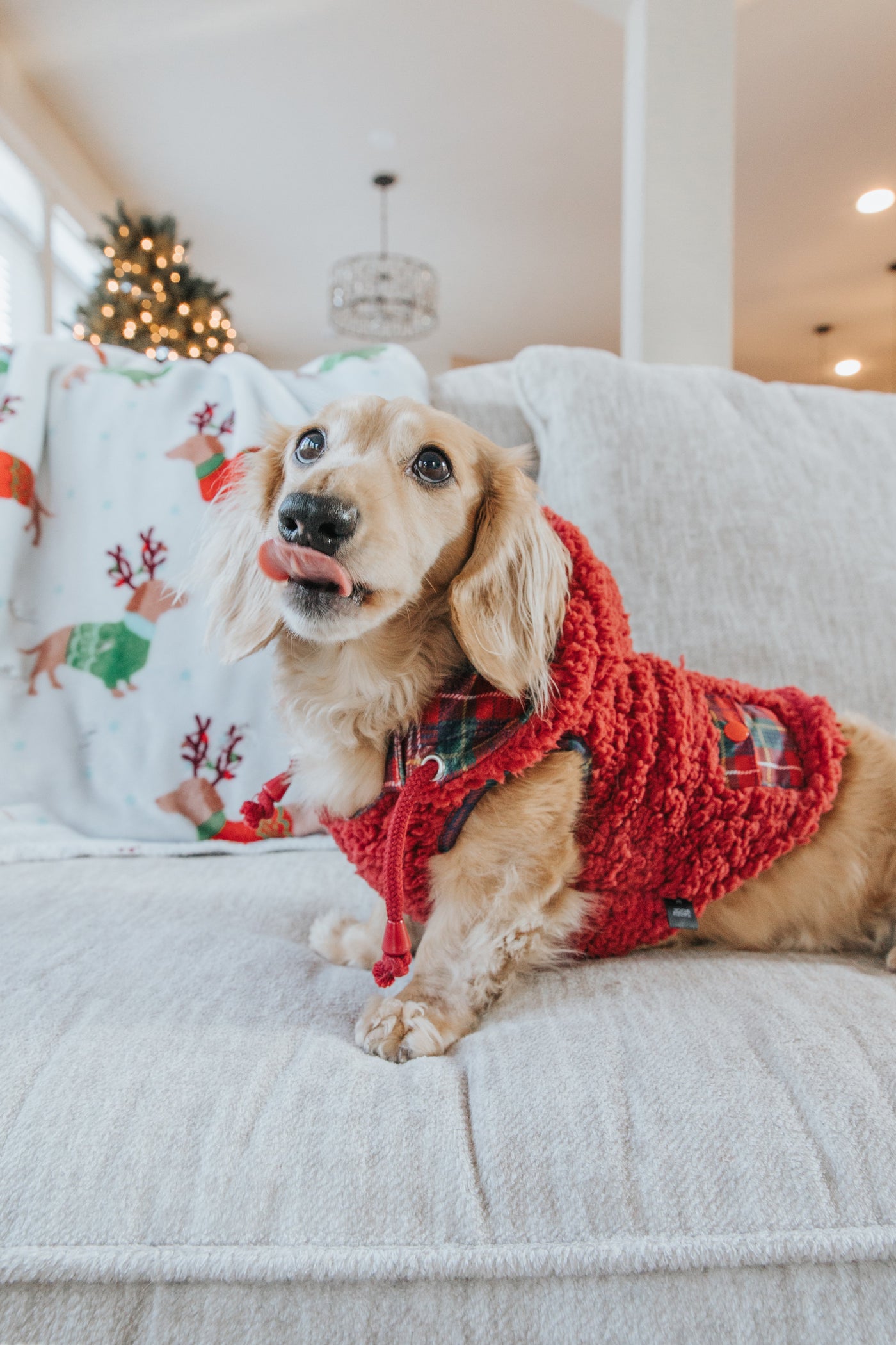 Dog Sherpa Jackets