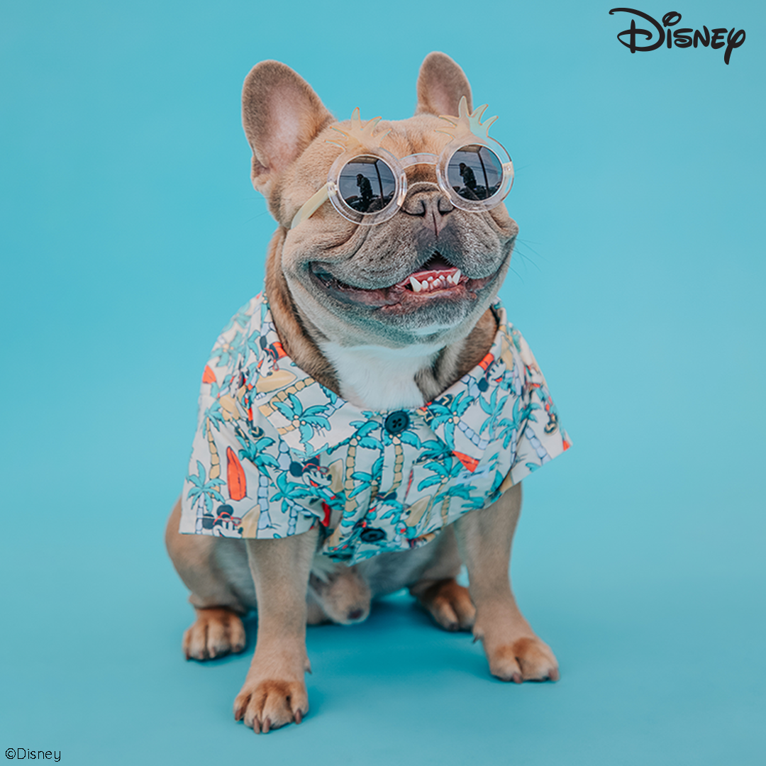 Dog Shirt