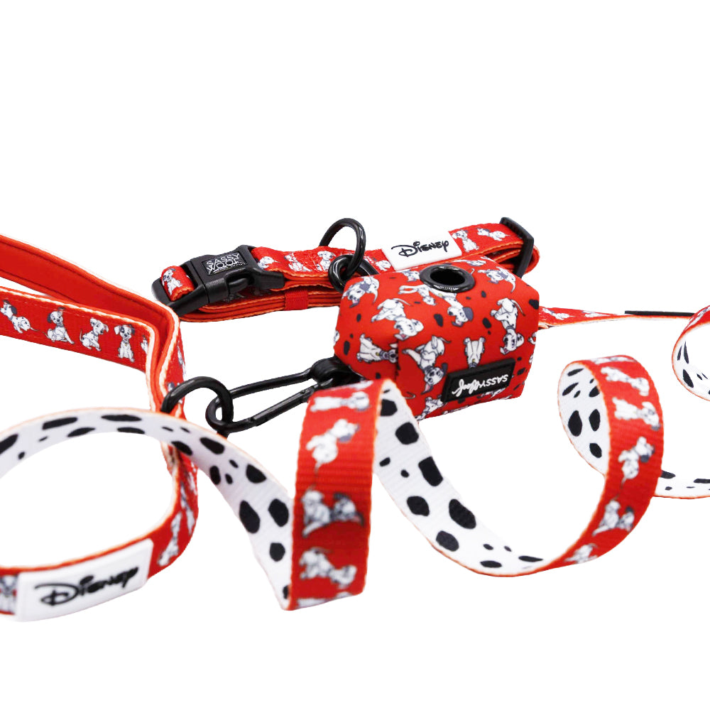 Dog Collar Three Piece Bundle - Disney's 101 Dalmatians