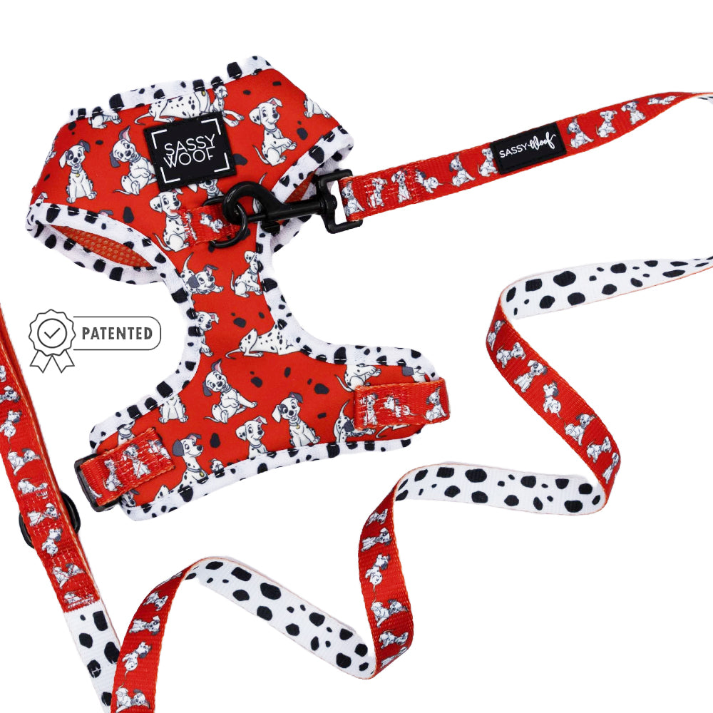 Dog Two Piece Bundle - Disney's 101 Dalmatians