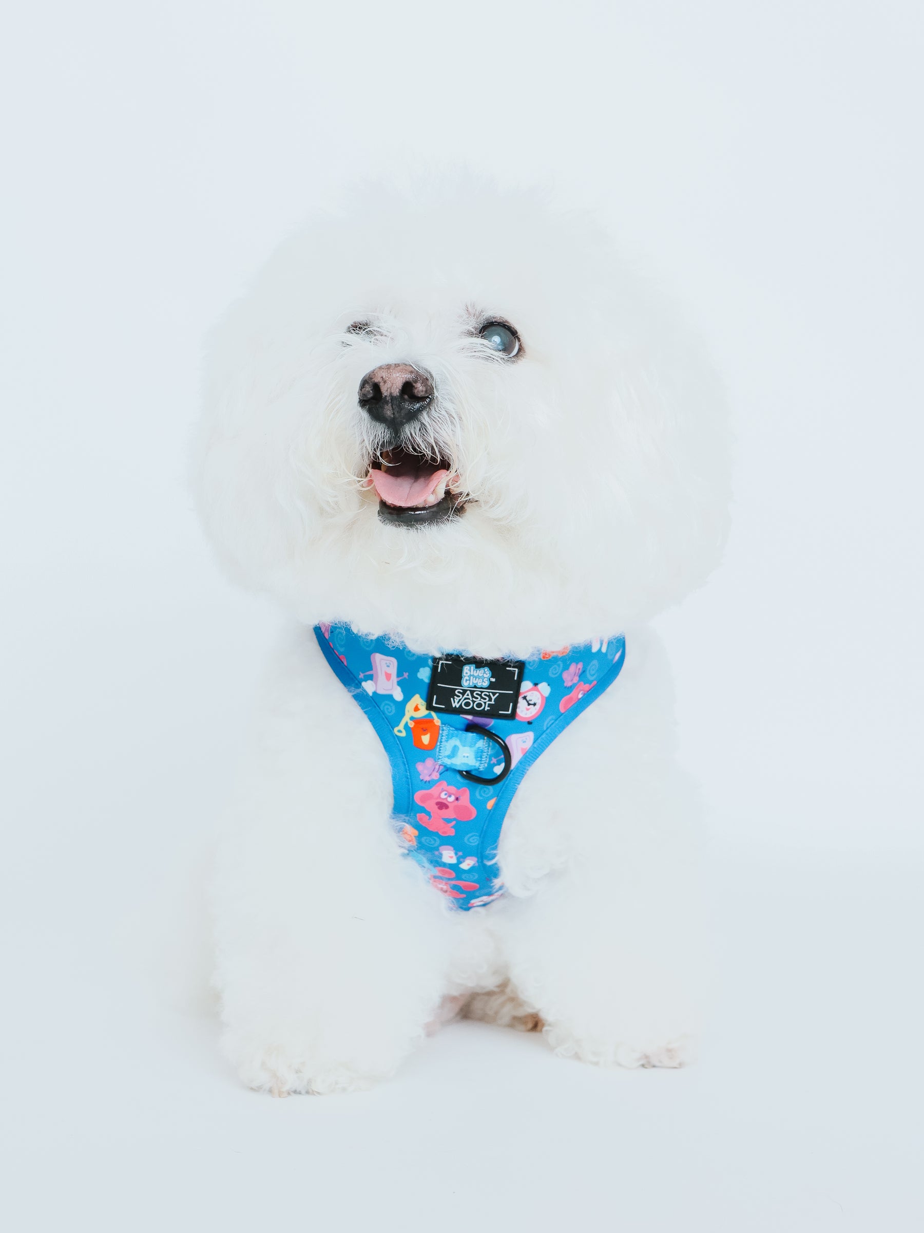 Dog Two Piece Bundle - Blue's Clues™