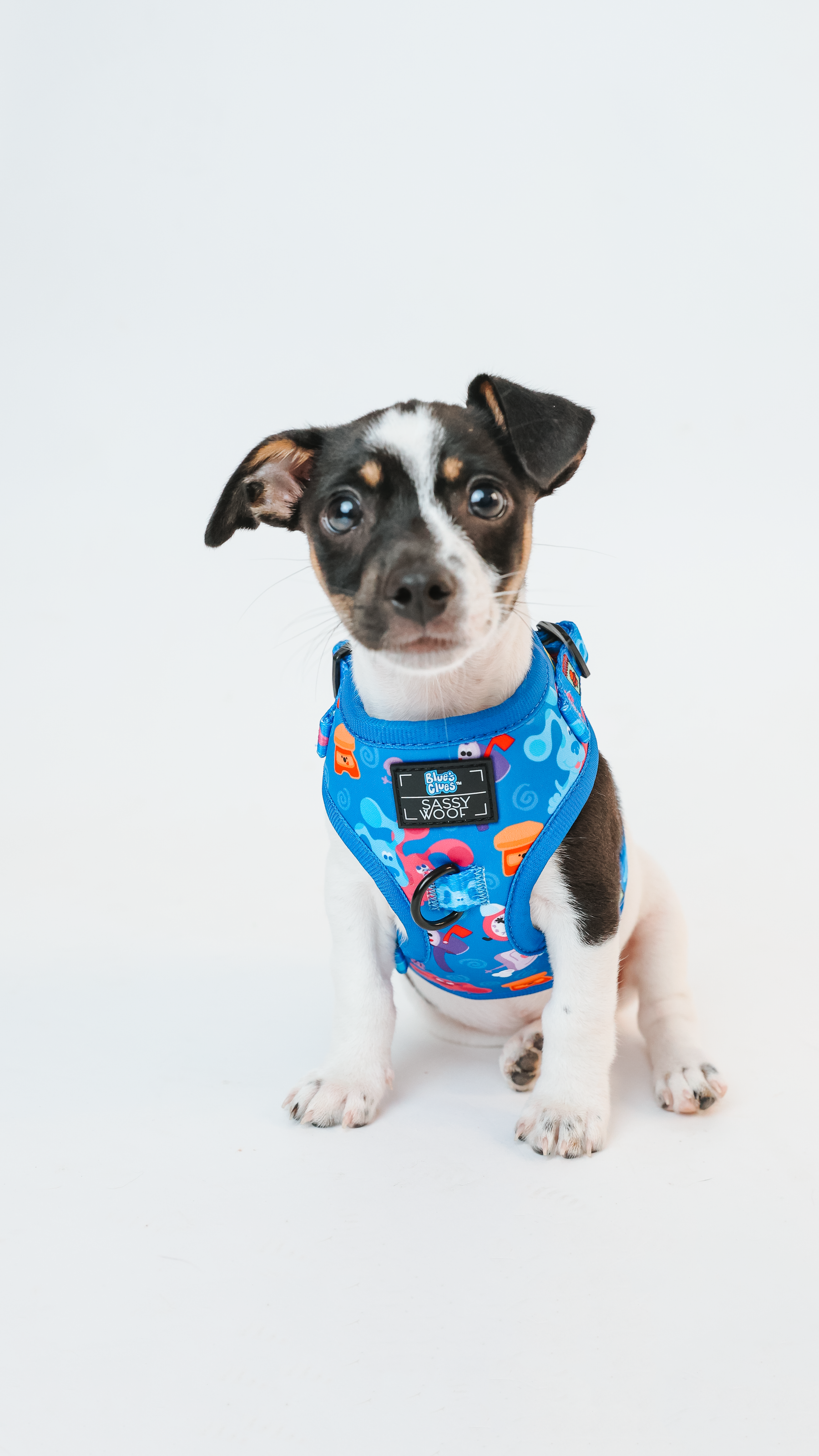 Dog Adjustable Harness - Blue's Clues™