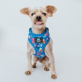 Dog Adjustable Harness - Blue's Clues™