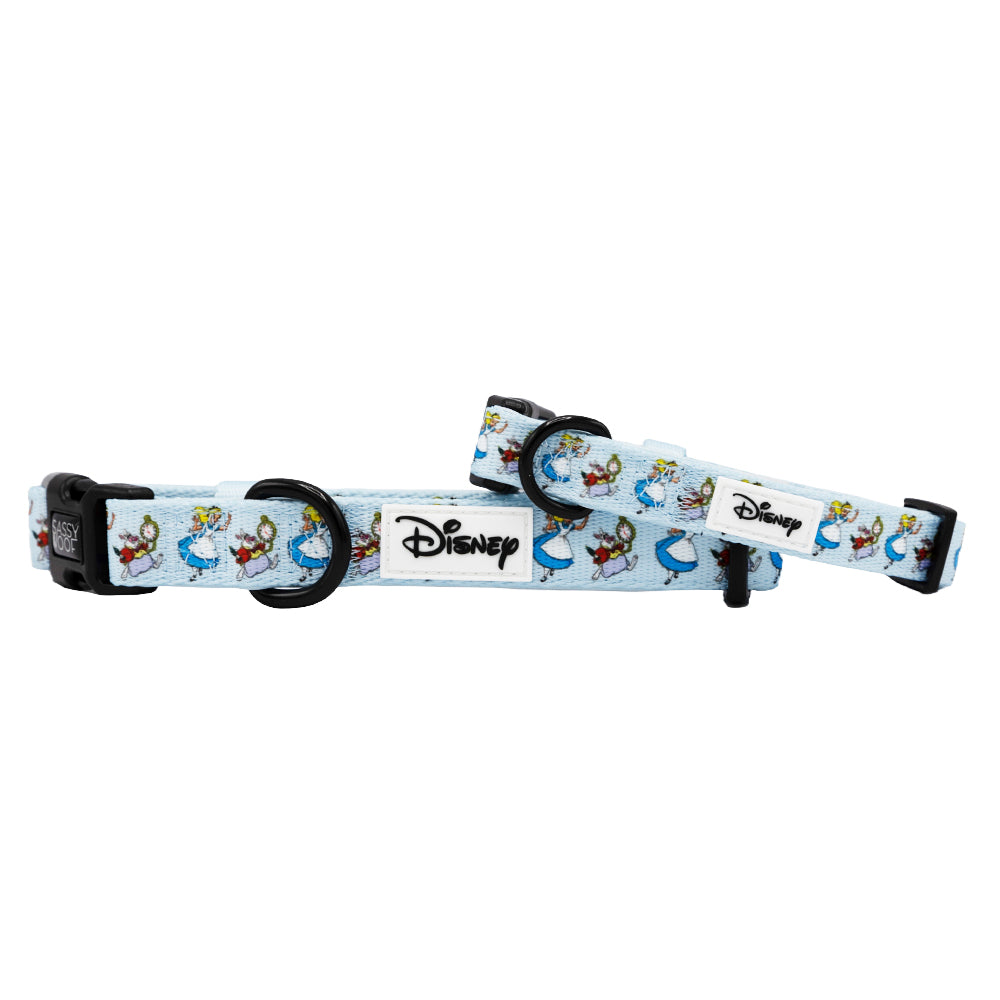 Dog Collar - Alice in Wonderland (Blue)