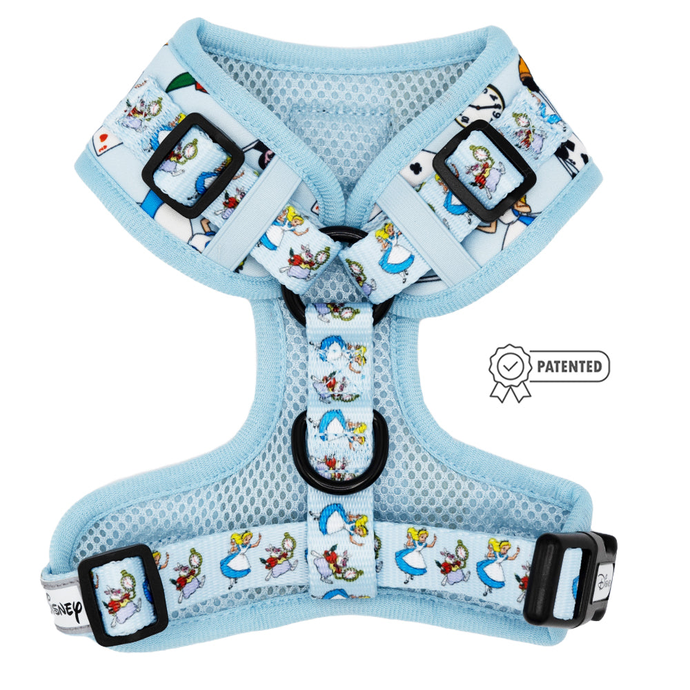 Dog Adjustable Harness - Alice in Wonderland (Blue)