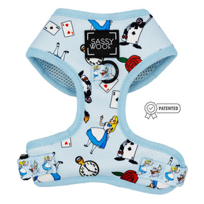 Dog Two Piece Bundle -  Alice in Wonderland (Blue)