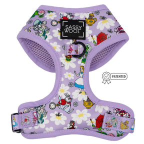 Dog Four Piece Bundle - Alice in Wonderland (Purple)