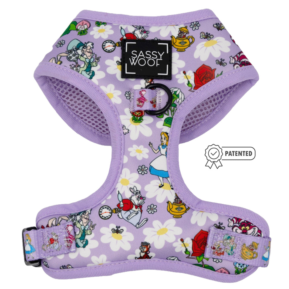 Dog Two Piece Bundle -  Alice in Wonderland (Purple)