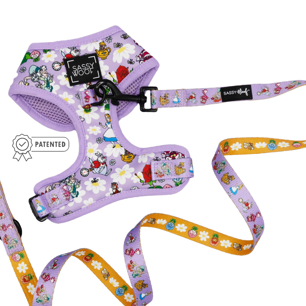 Dog Two Piece Bundle -  Alice in Wonderland (Purple)