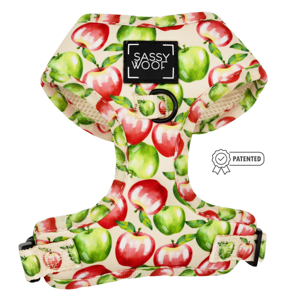 Dog Two Piece Bundle -  Apple of My Eye