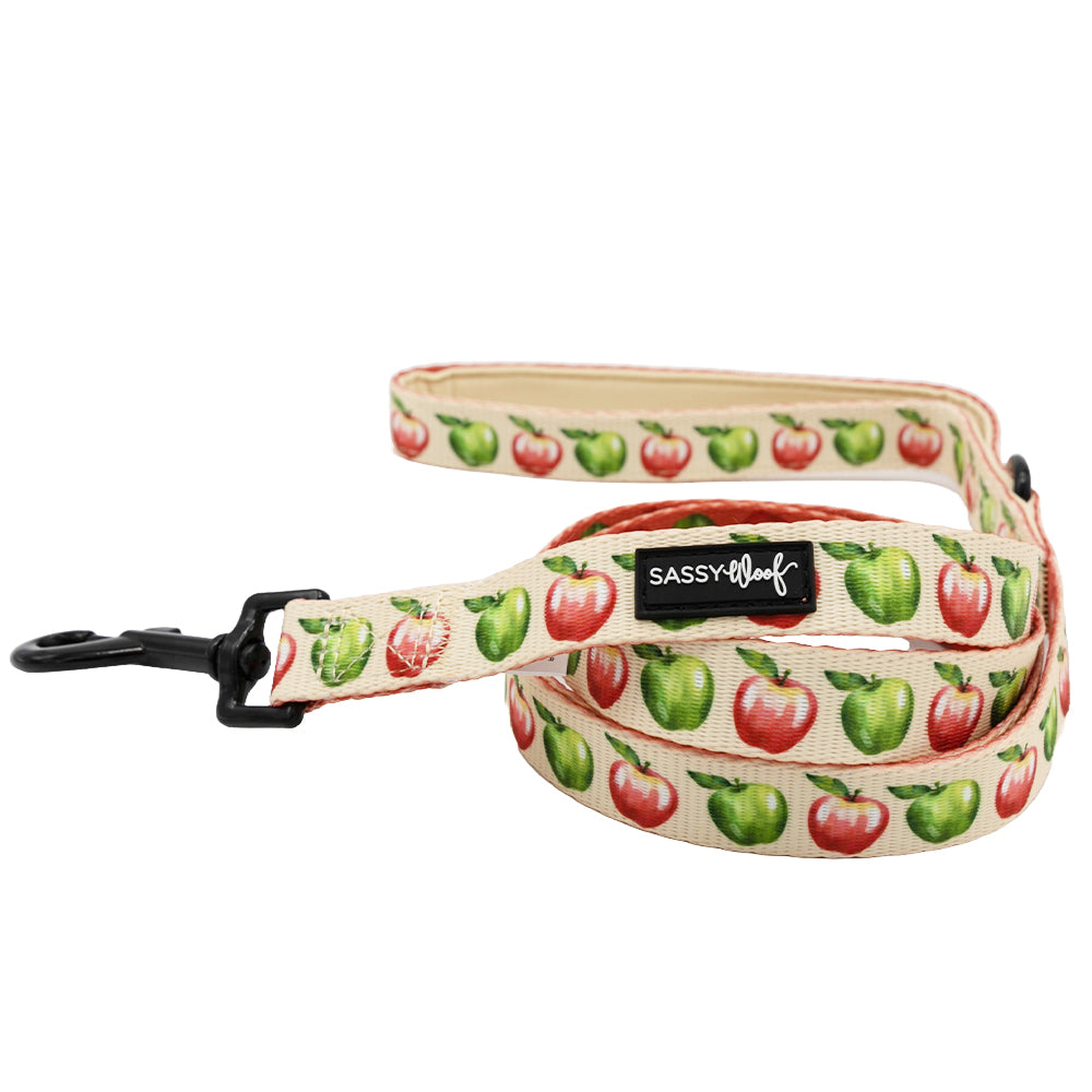 Dog Two Piece Bundle -  Apple of My Eye