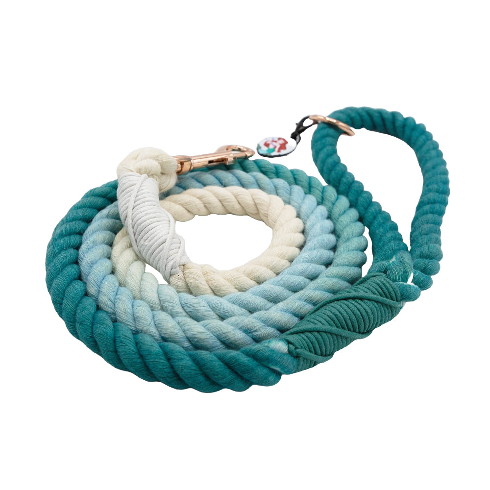 Dog Rope Leash - Disney's Ariel