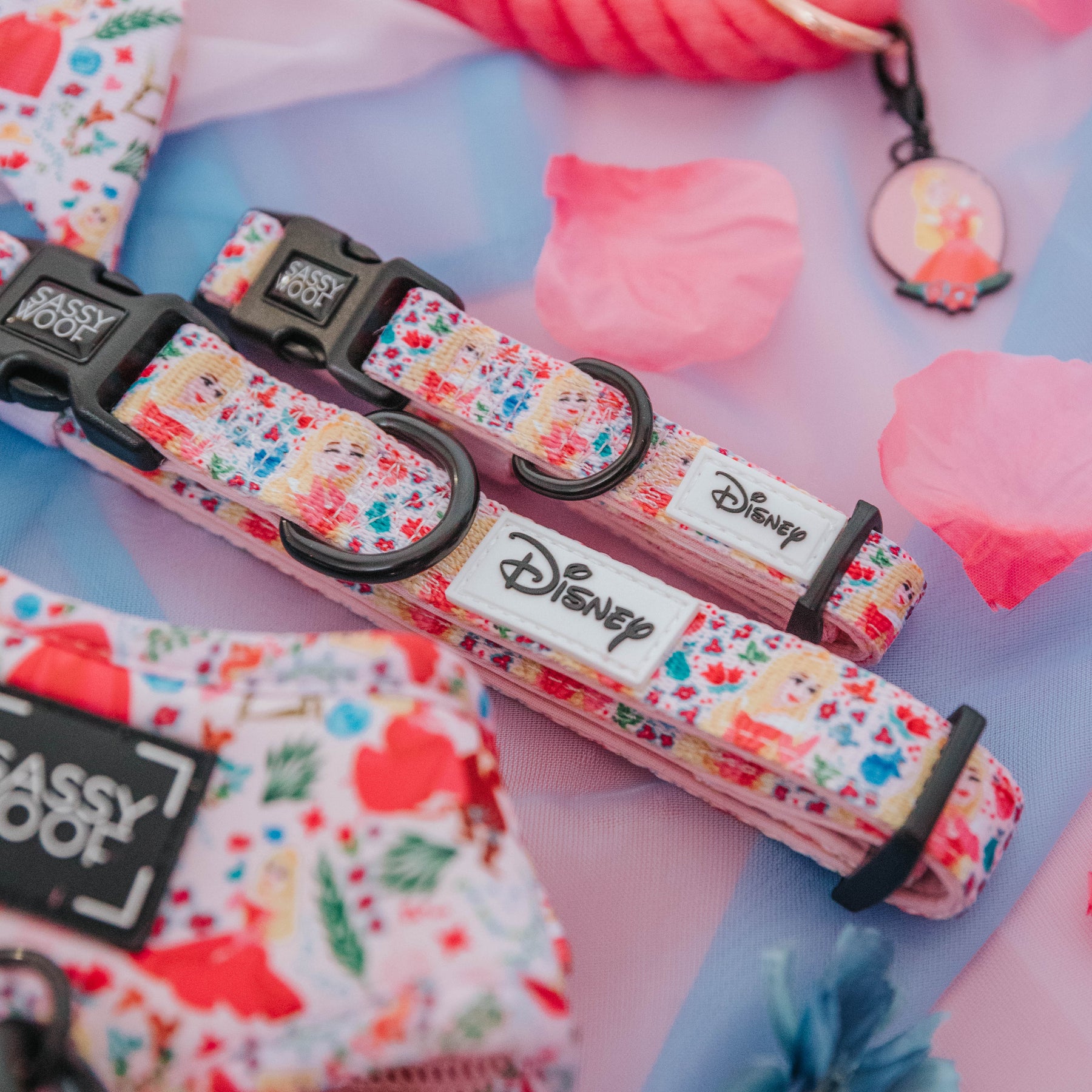 Dog Collar - Disney's Aurora