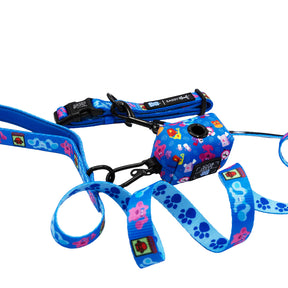 Dog Three Piece Collar Bundle - Blue's Clues™