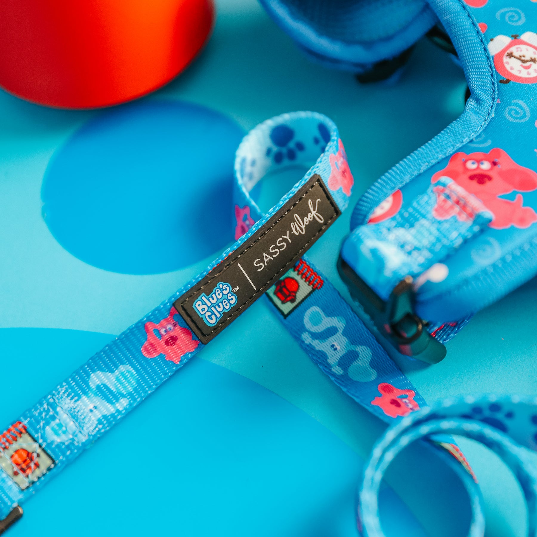 Dog Three Piece Collar Bundle - Blue's Clues™