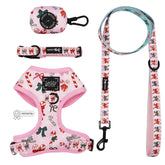 Dog Four Piece Bundle - Candy Cane Coquette