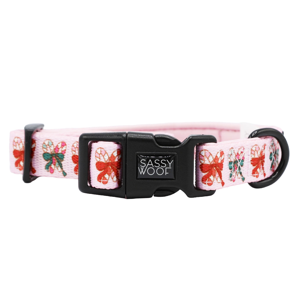 Dog Four Piece Bundle - Candy Cane Coquette