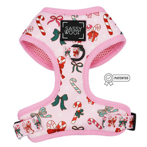 Dog Two Piece Bundle - Candy Cane Coquette