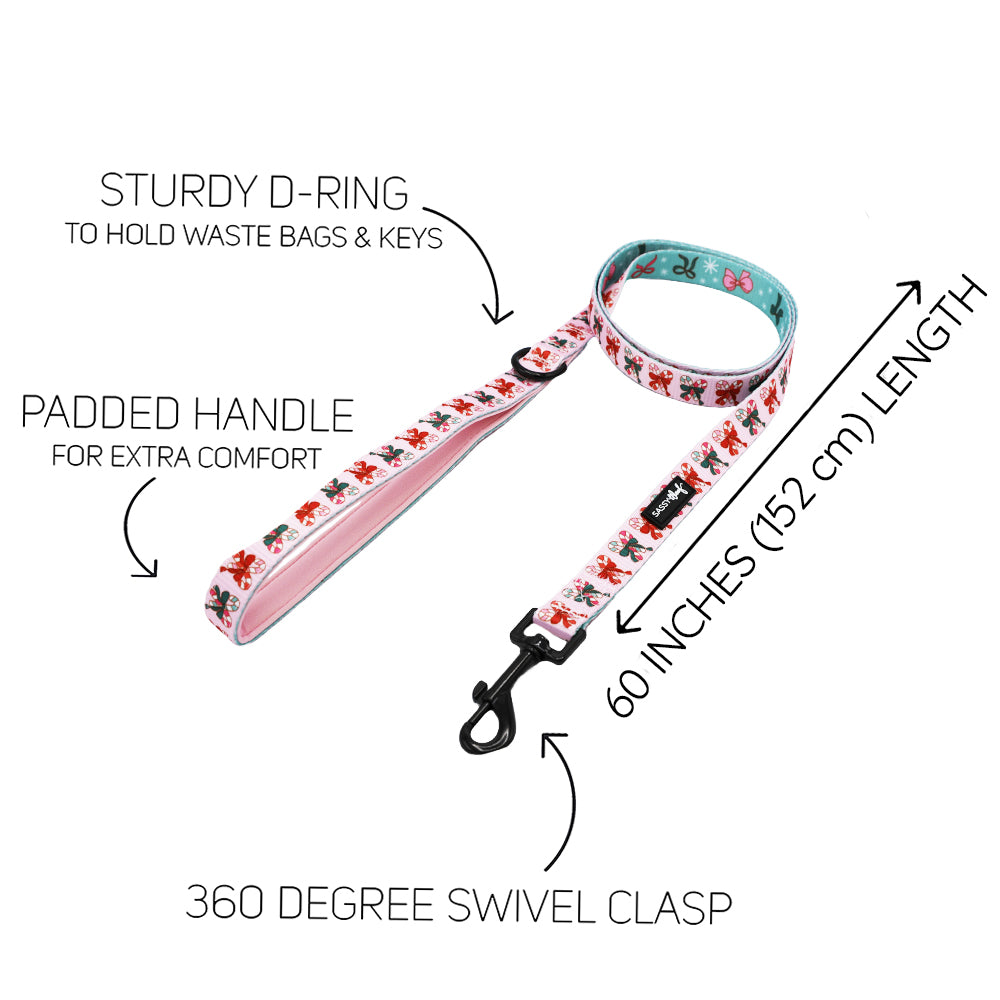 Dog Leash - Candy Cane Coquette