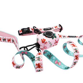 Collar Three Piece Bundle - Candy Cane Coquette