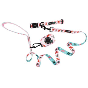 Collar Three Piece Bundle - Candy Cane Coquette