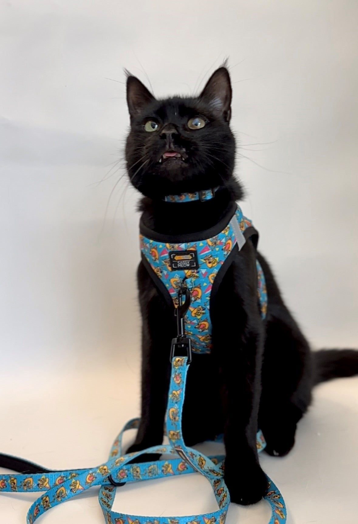 Cat Collar - Nickelodeon CatDog™