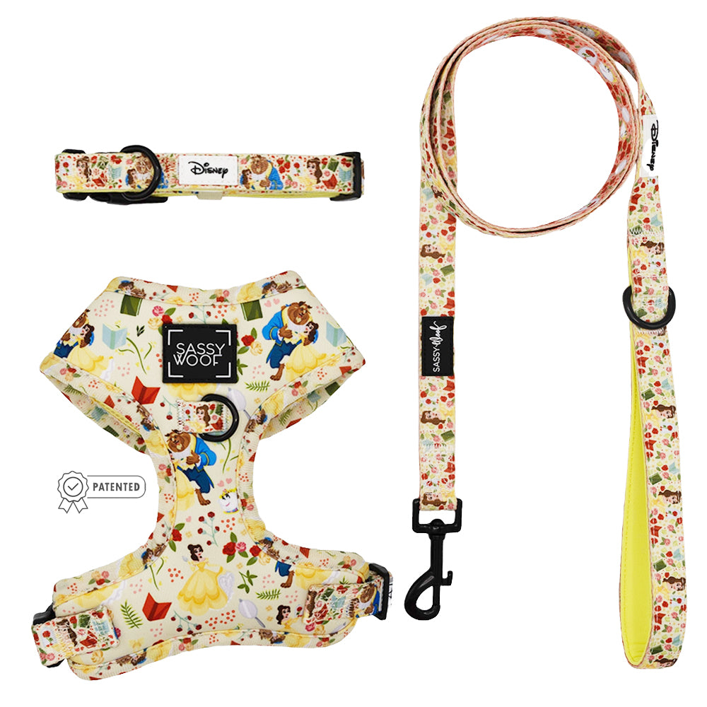 Harness Three Piece Bundle - Disney's Belle