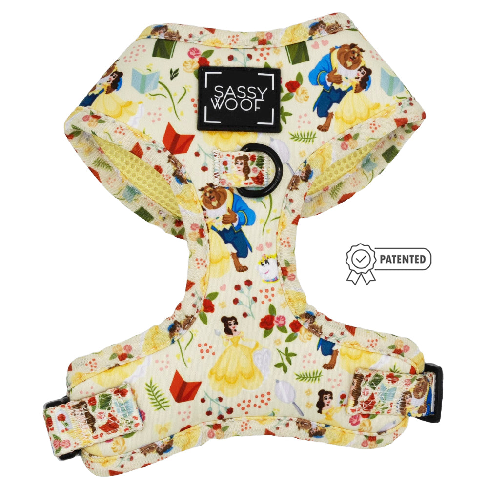 Dog Two Piece Bundle - Disney's Belle