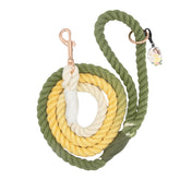 Dog Rope Leash - Disney's Belle