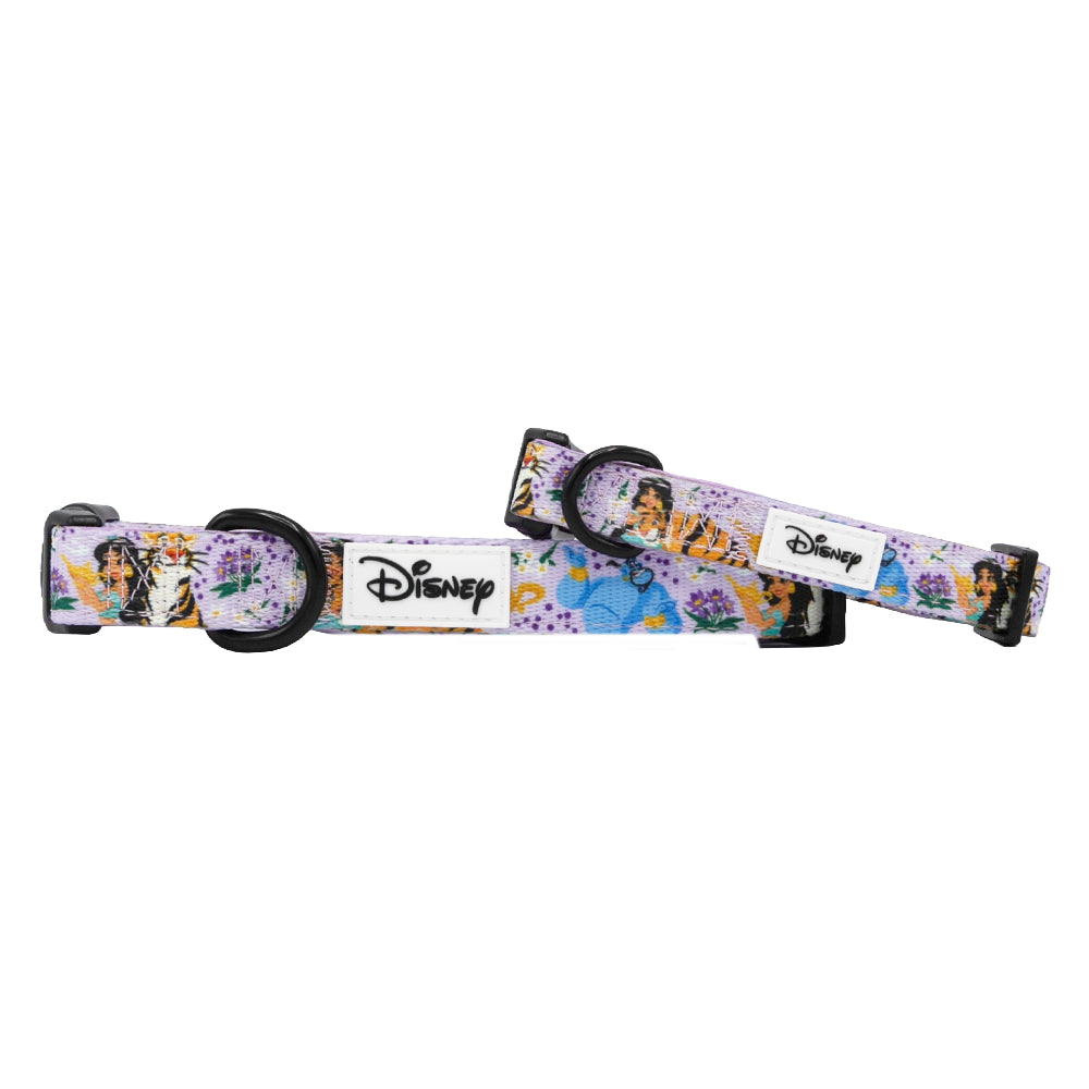 Dog Collar - Disney's Jasmine