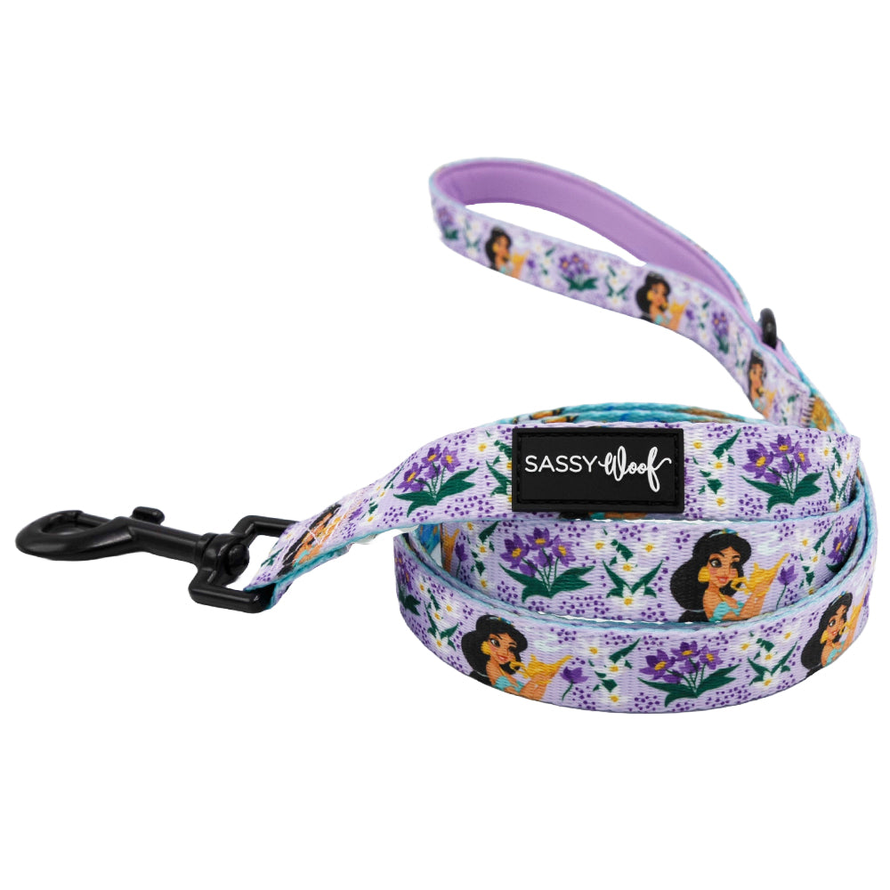 Dog Leash - Disney's Jasmine