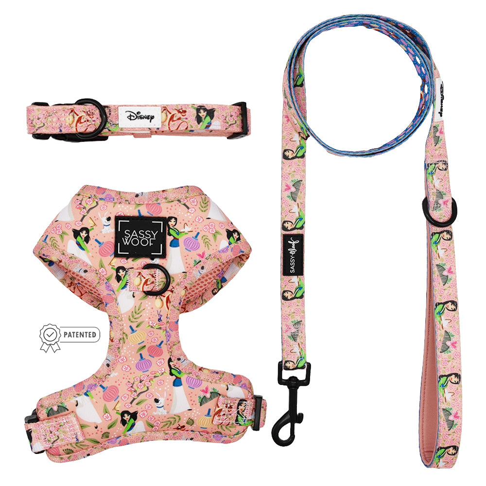 Harness Three Piece Bundle - Disney's Mulan