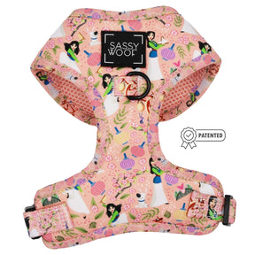 Dog Two Piece Bundle -  Disney's Mulan