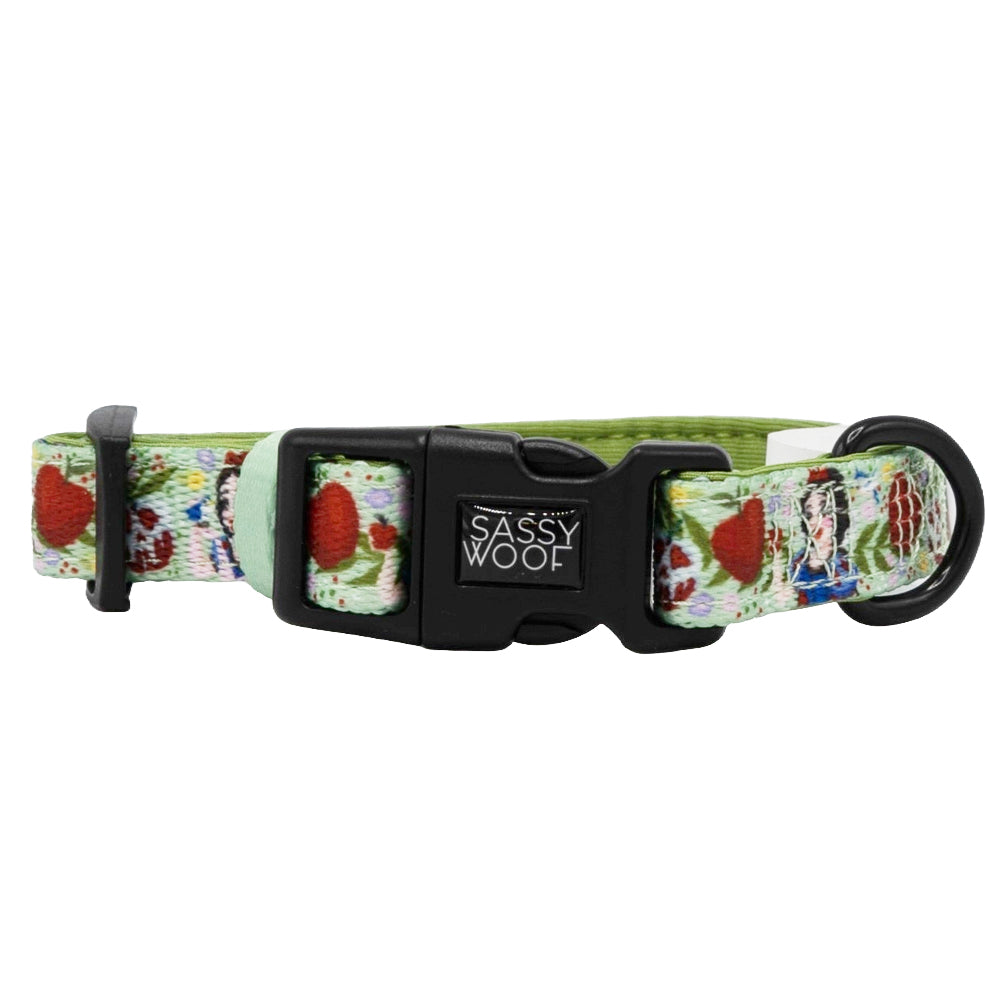 Dog Collar - Disney's Snow White