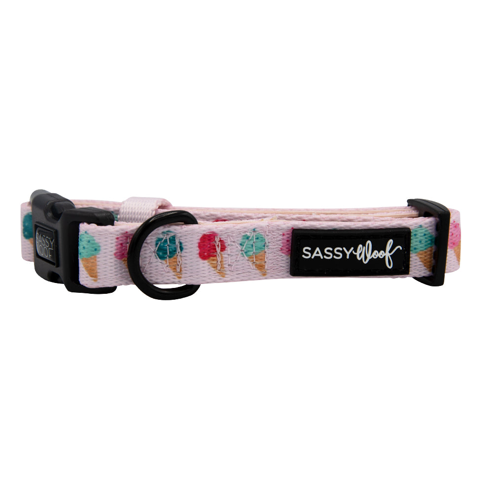 Dog Collar - A Sprinkle of Sass