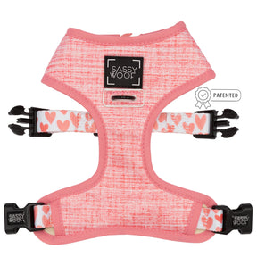 Dog Two Piece Bundle - Dolce Rose