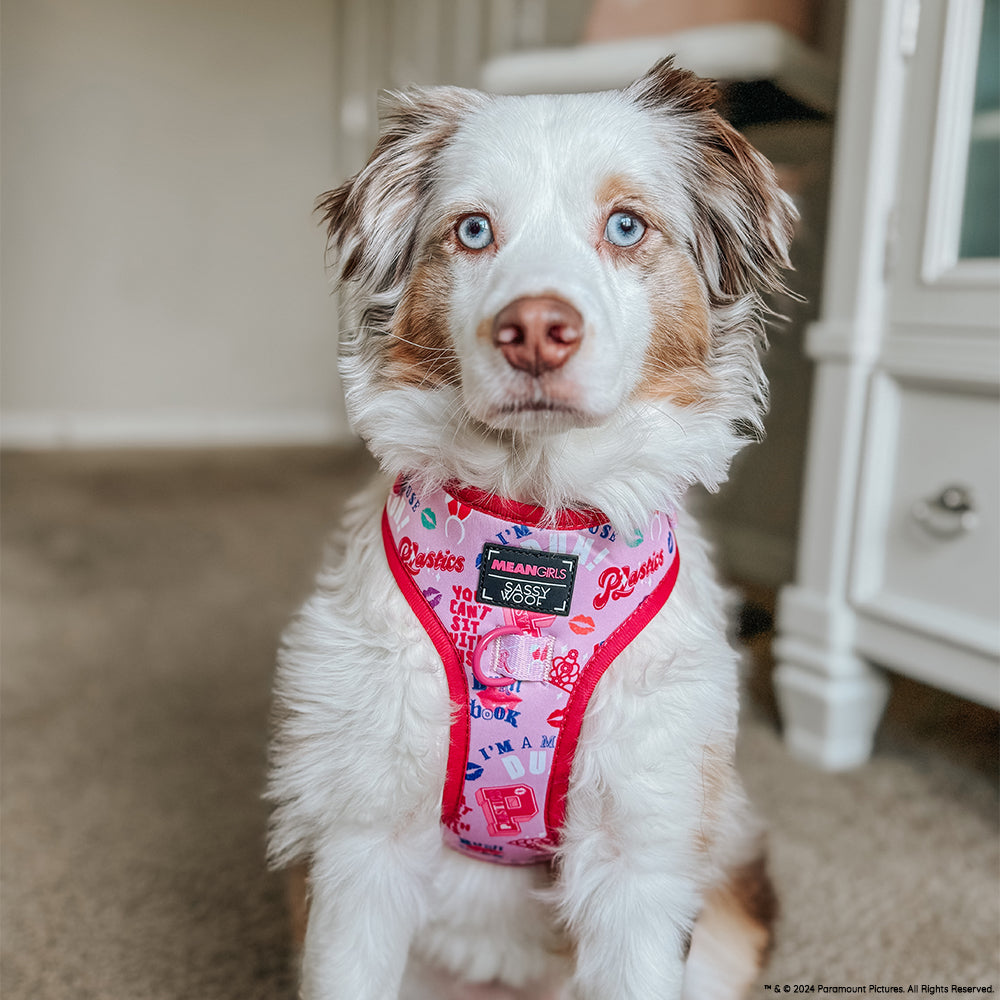 INFLUENCER_CONTENT | @ELLA.THEMINIAUSSIE | SIZE M