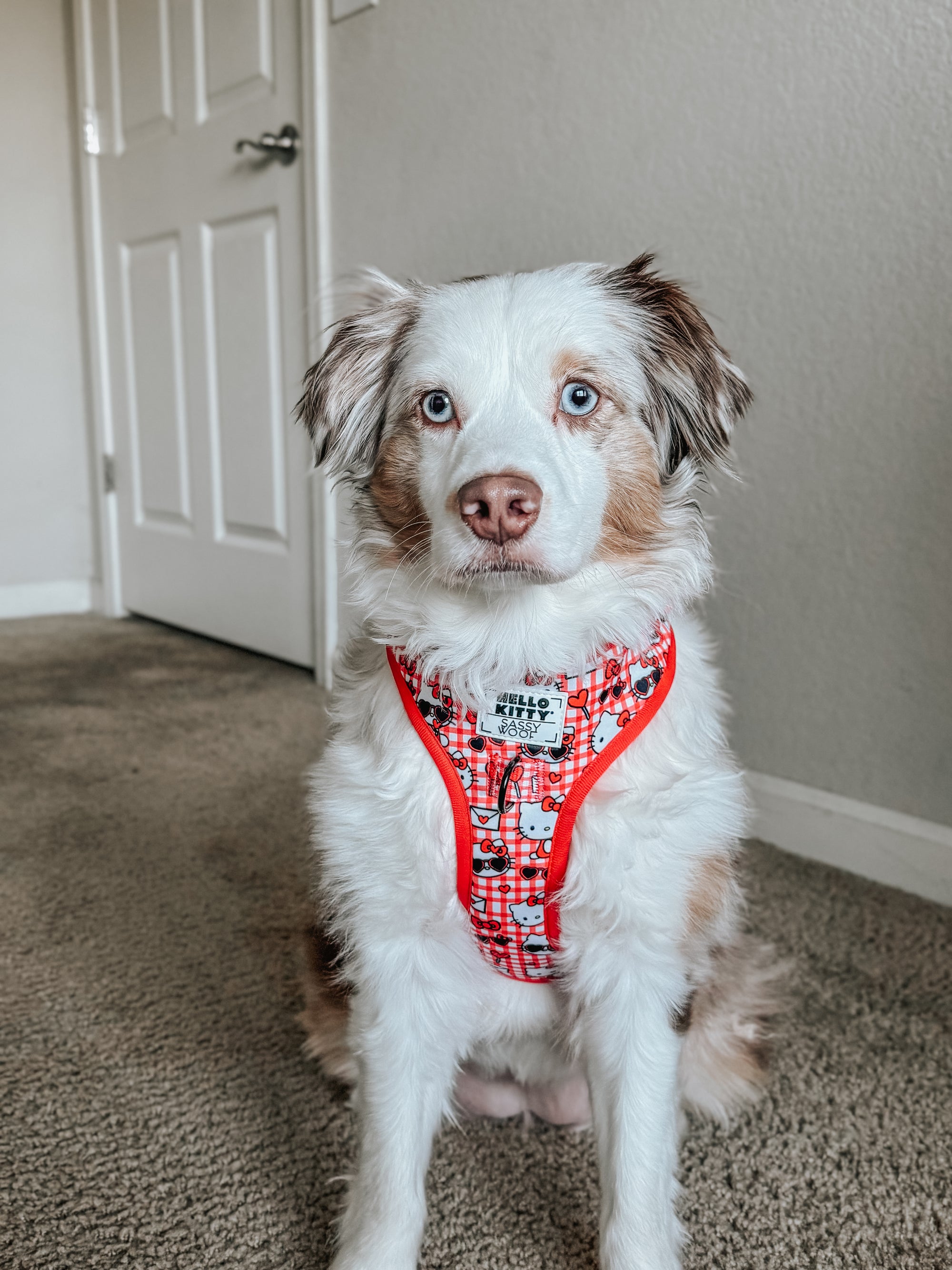 INFLUENCER_CONTENT | @ELLA.THEMINIAUSSIE | SIZE M